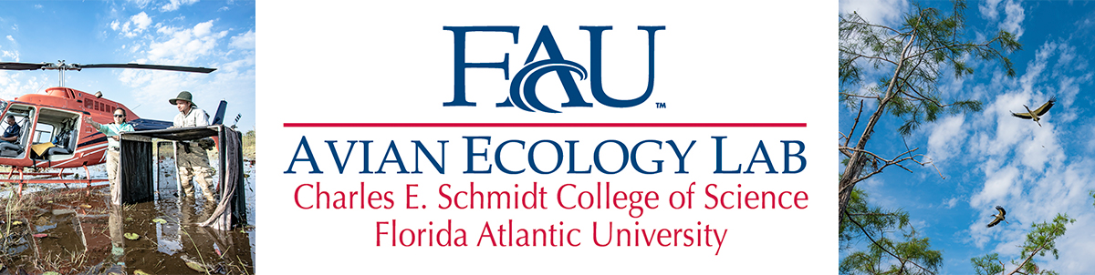 Avian Ecology Lab logo