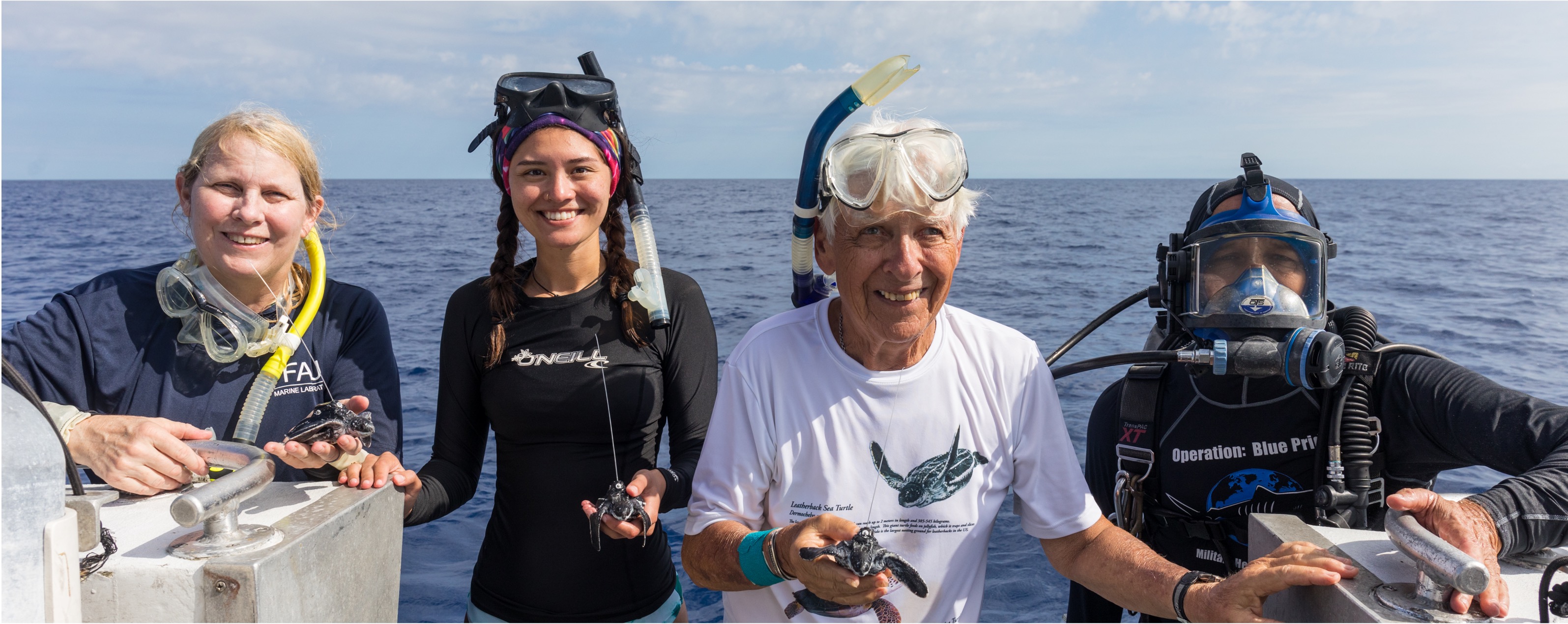 4 members of the turtle transport team hold baby turtles toward the camera