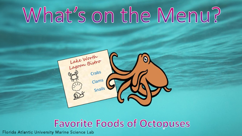 What's On the Menu - Favorite Foods of Octopuses - Nearpod