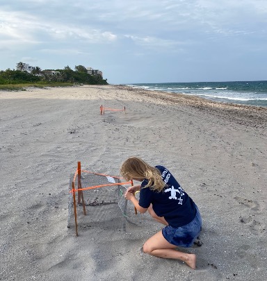 Allison Ragle tending a turtle nest on the beach