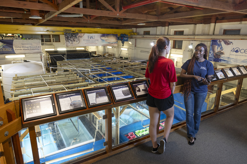 Marine Lab SEA Scholars Making Waves: Our 2025 Impact