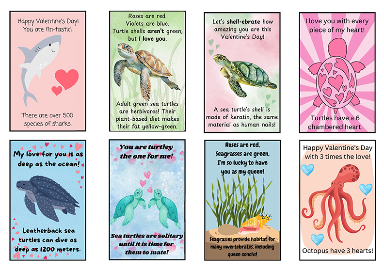 FAU Marine Lab Valentine's Cards PDF