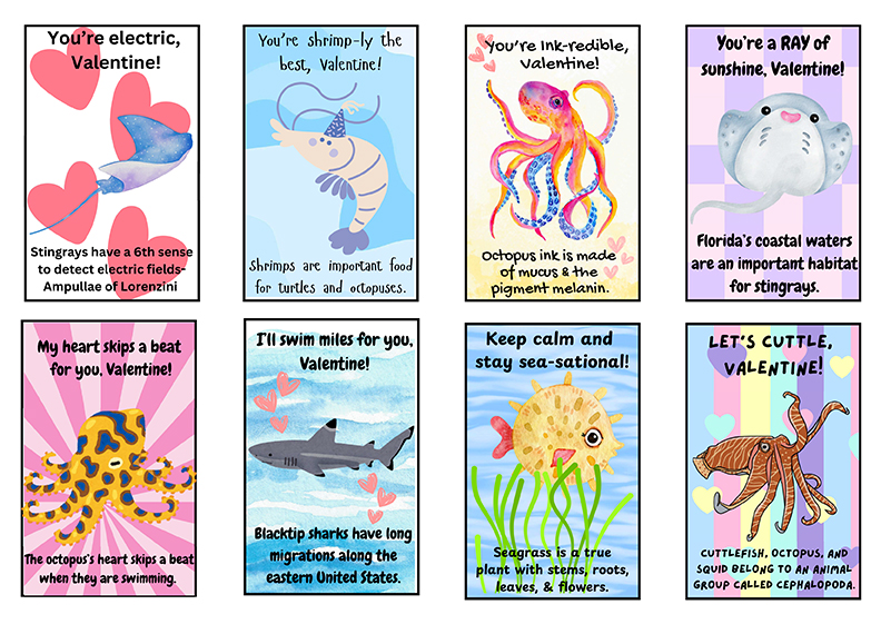FAU Marine Lab Valentine's Cards PDF
