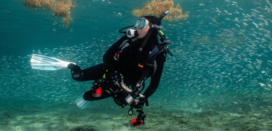 Full Circle: OctoGirl heads to the MBL as a Whitman Fellow