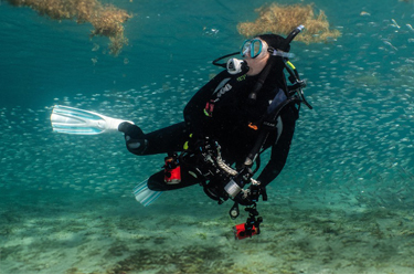 Career Day: SEA Scholars in Schools