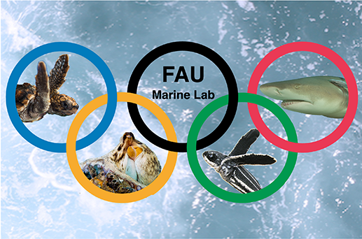 Marine Animal Olympians