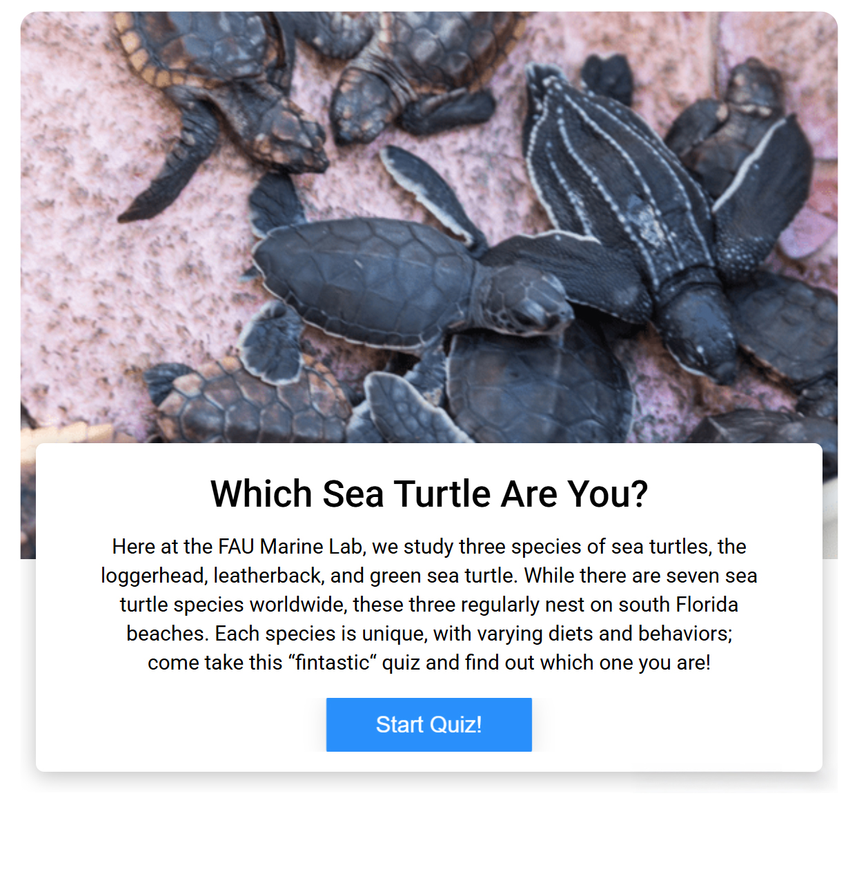 trivia