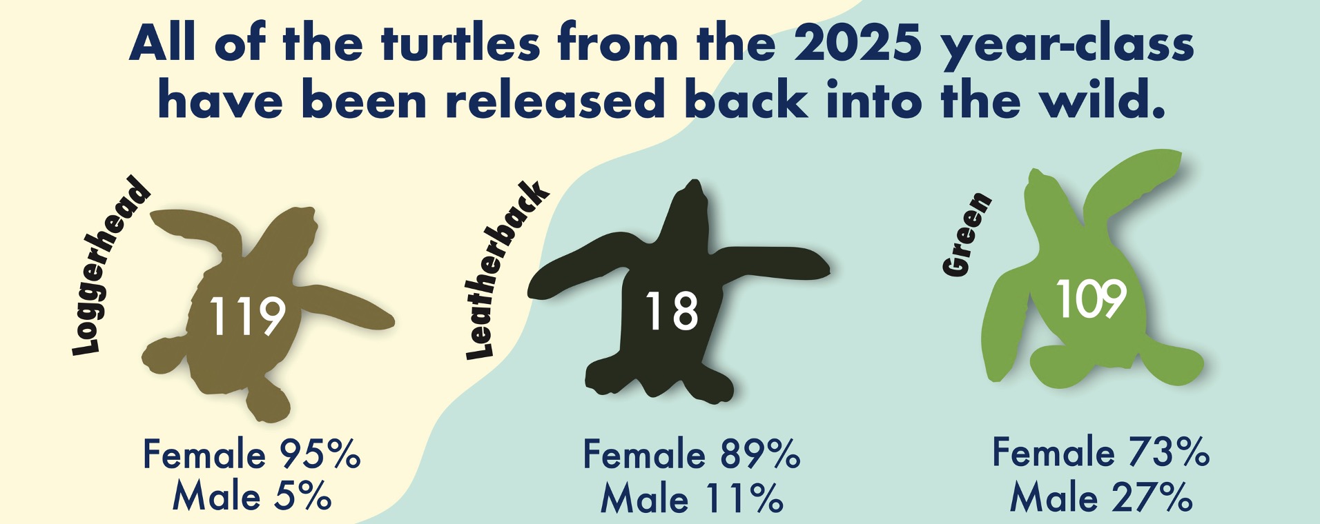 Marine Lab 2025 sex ratio 