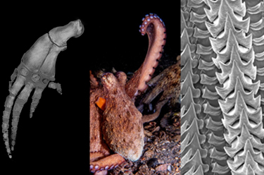 The Intersection of Science and Art