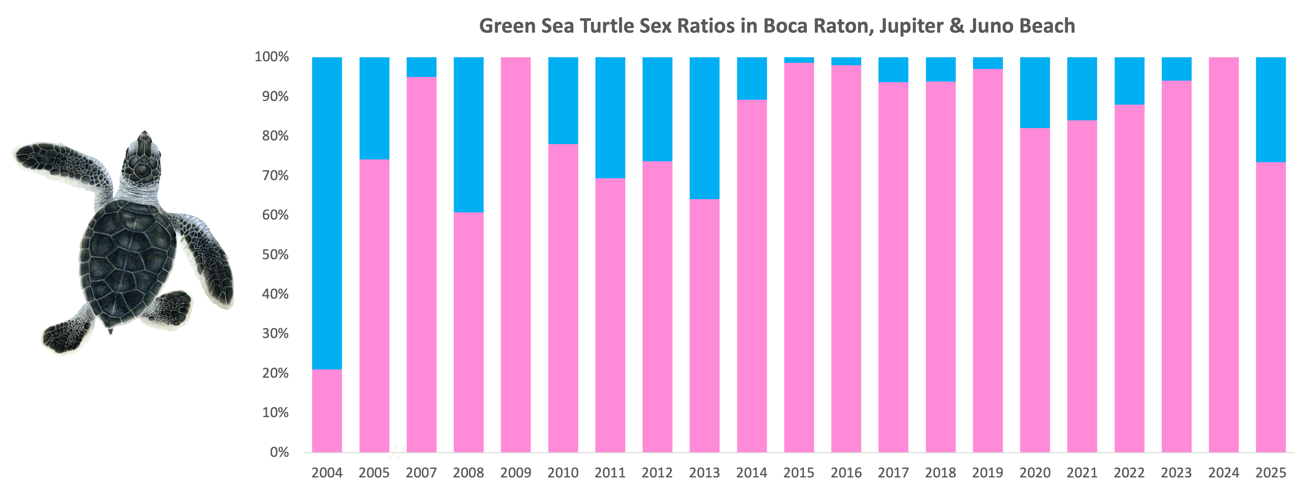 Green Sea Turtle graph 