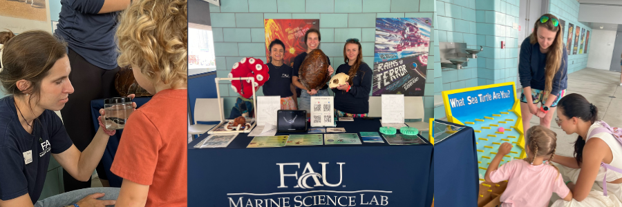 marinelab events