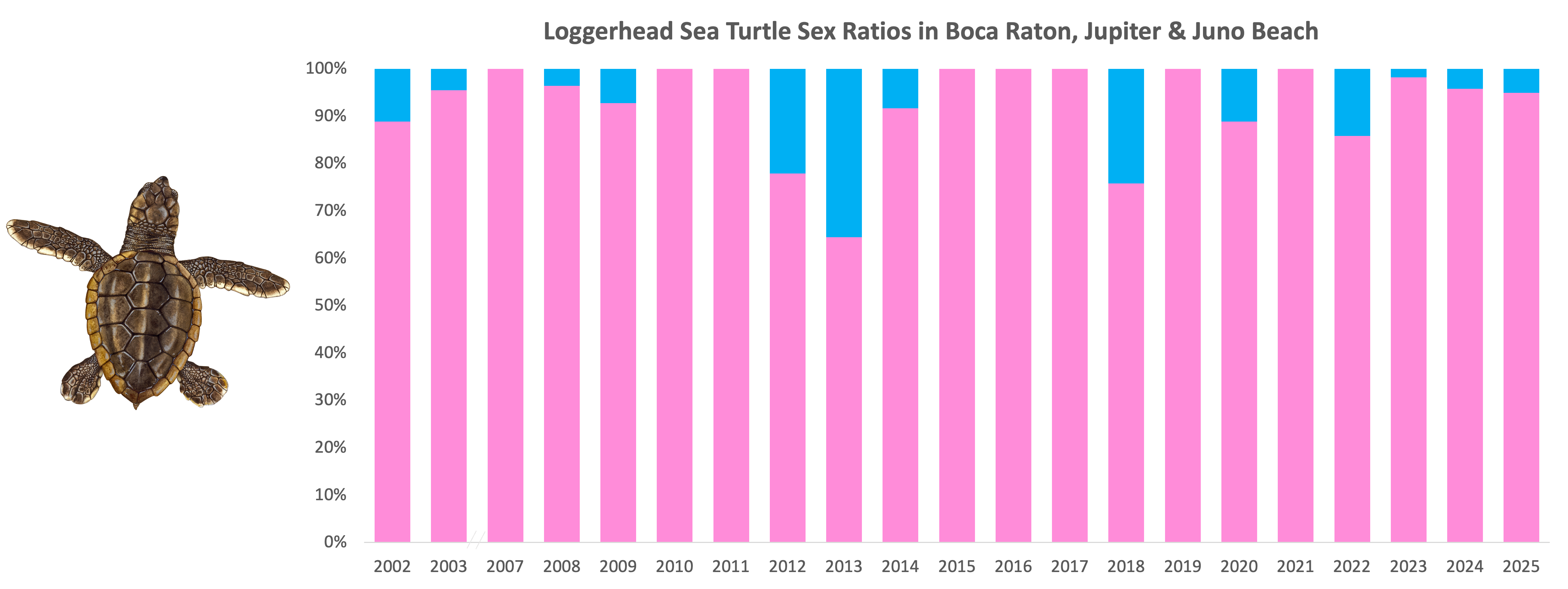 Loggerhead graph 