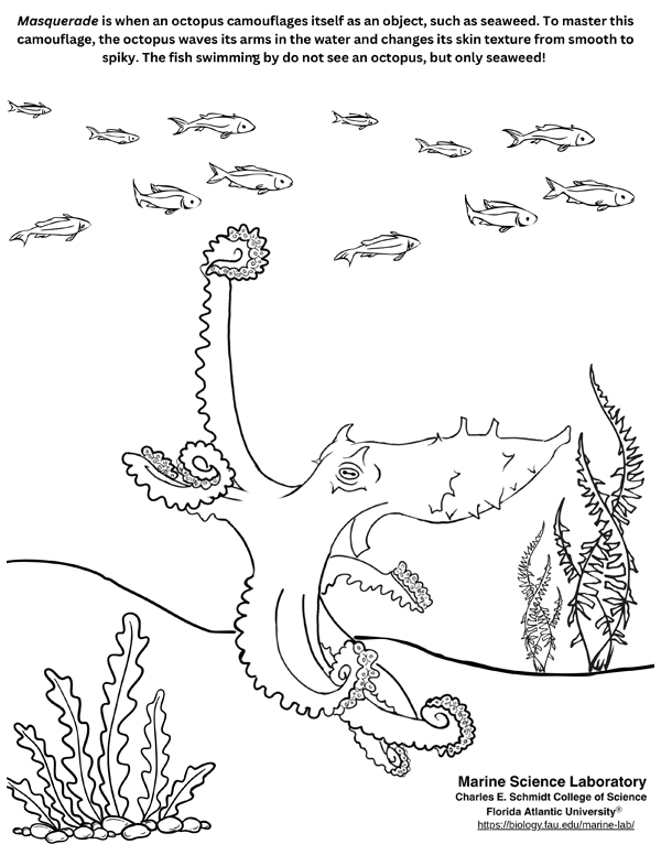 Migration Mayhem Coloring Sheet