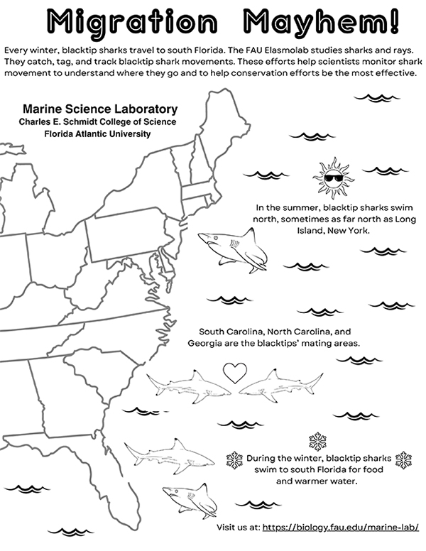 Blacktip Shark Coloring Sheet