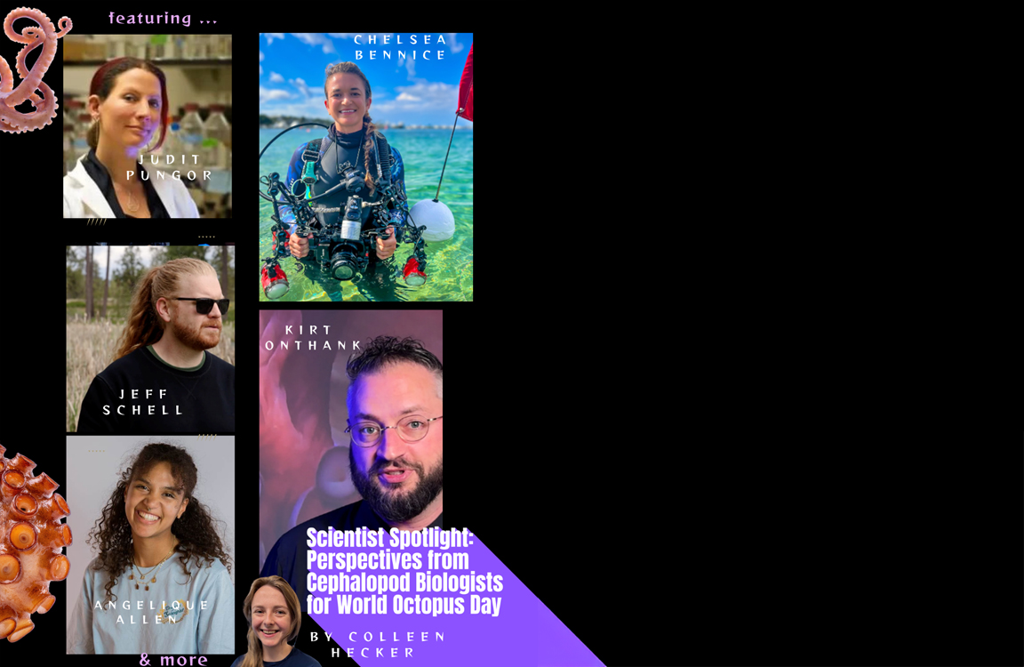 Scientist Spotlight: Perspectives from Cephalopod Biologists for World Octopus Day (10-8-26)