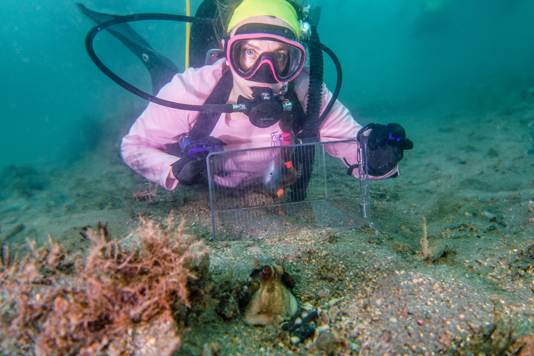 Underwater with octopus
